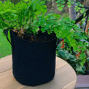 Fabric Pots in pot