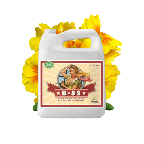 Advanced Nutrients B-52 500mL in transparent background with flower behind it