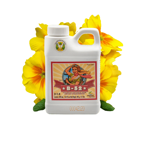 Advanced Nutrients B-52 250mL in transparent background with flower behind it