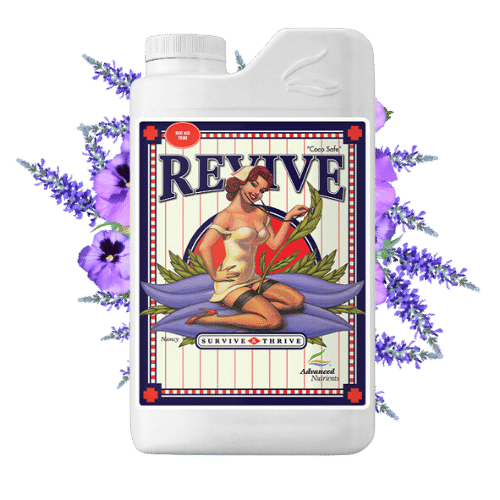 Advanced Nutrients Revive Advanced Nutrients