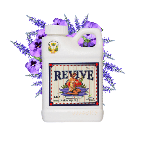 Advanced Nutrients Revive Advanced Nutrients