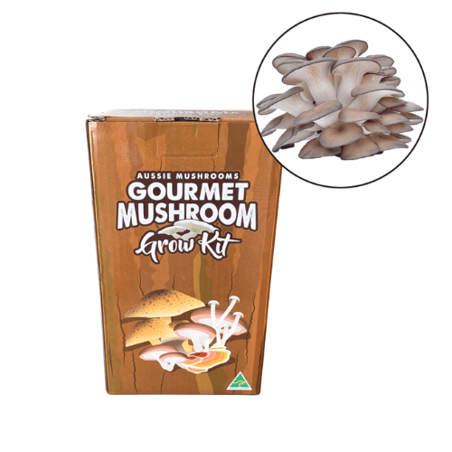 Aussie Mushroom Grey Oyster