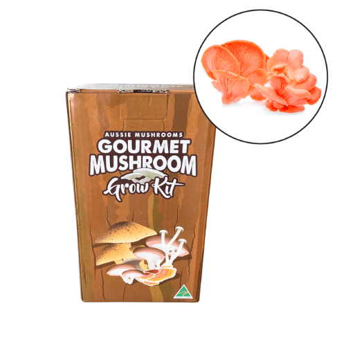 Aussie Mushroom Pink Oyster