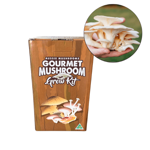 Aussie Mushroom White Oyster
