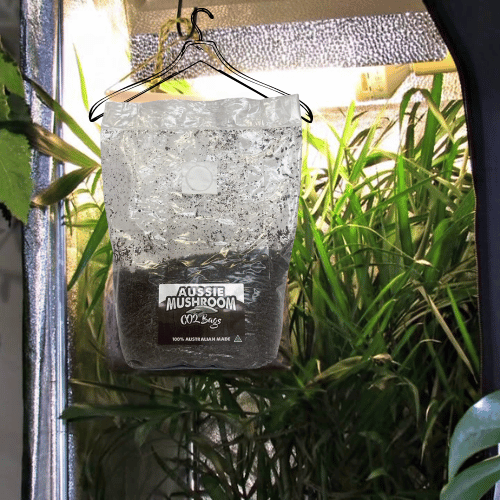 Aussie Mushrooms CO2 Bag