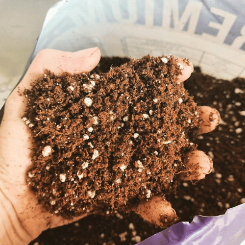 Bio Diesel Coco Perlite 