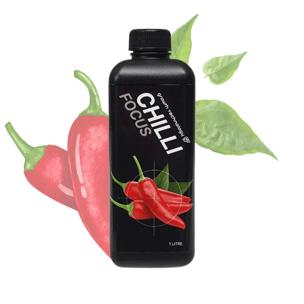 GT Chilli Focus Growth Technology