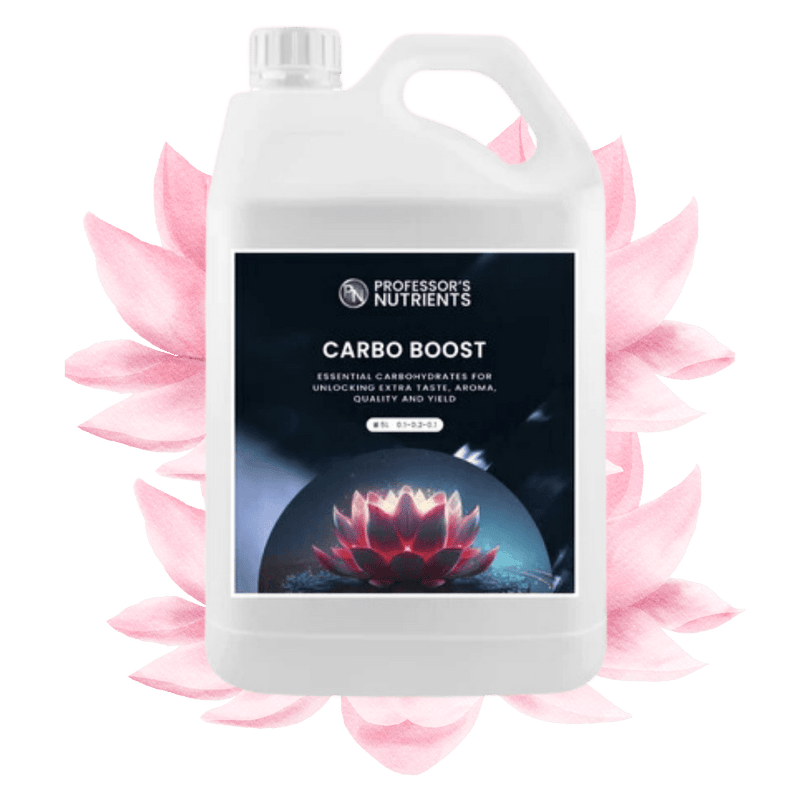 Professor's Nutrients Carbo Boost with lotus flower background 5L