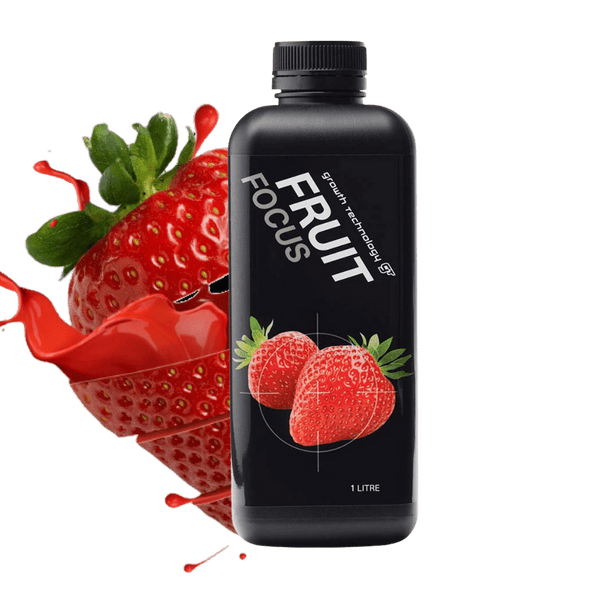 GT Fruit Focus Growth Technology