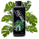 Foliage Focus - 1L in white background and monstera leaves around it