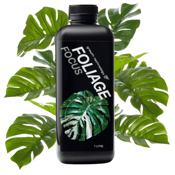 gt focus on foliage plant fertilizer Foliage Focus