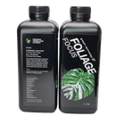 Foliage Focus - 1L back and forth in transparent background