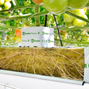 Grodan Cubes - 40mm x 40mm x 40mm Grodan