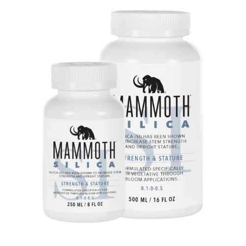 Mammoth Silica Mammoth P