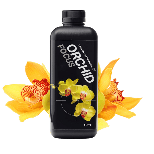 GT Orchid Focus Growth Technology