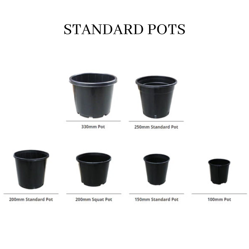 standard planter pot sizes Standard Pots (With Holes)