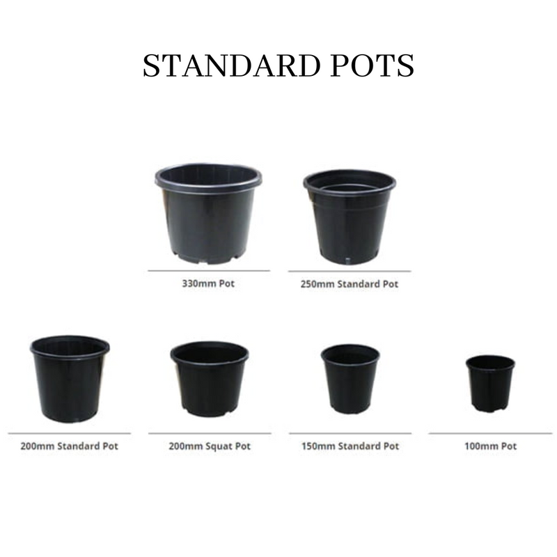 Standard Pots (With Holes)