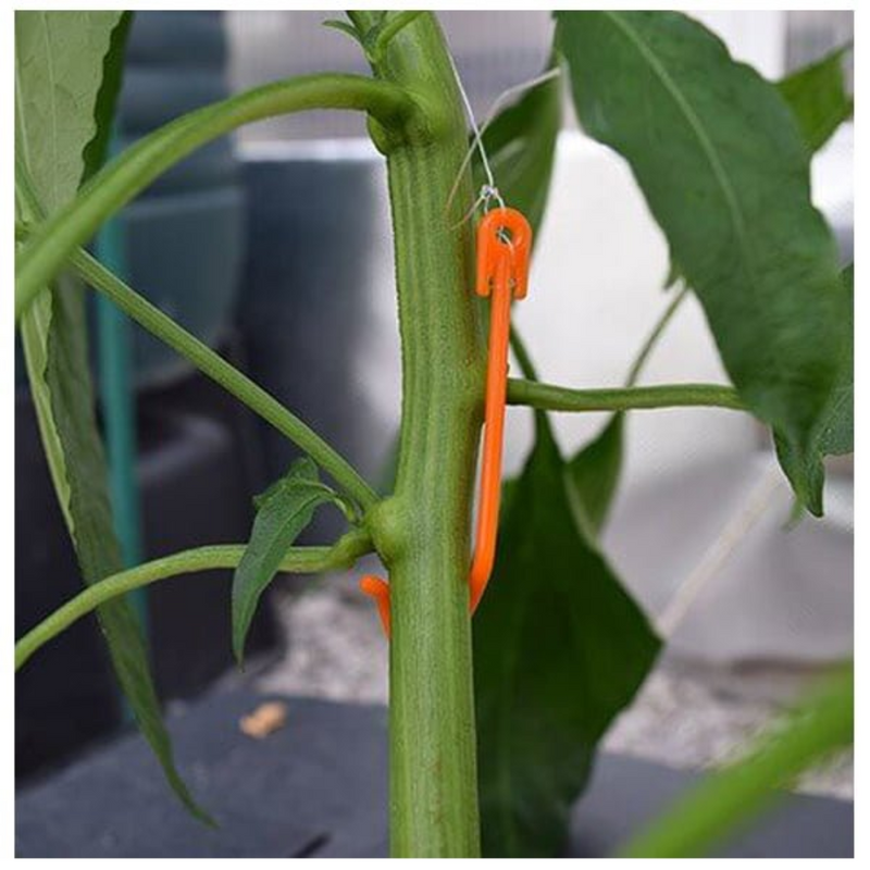 yo yo plant hanger Yo Yo Plant Hanger