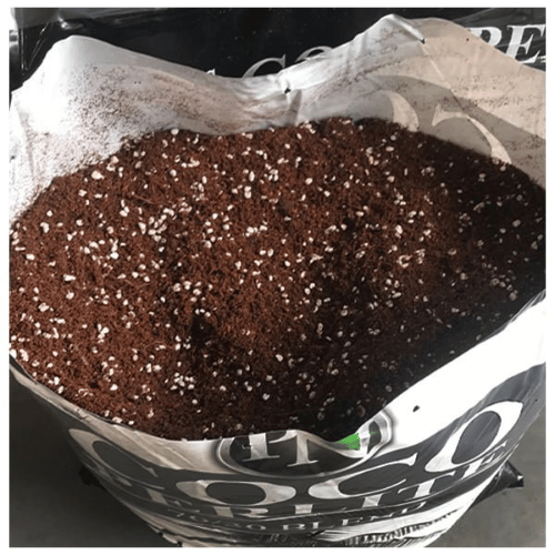 Professor's Coco Perlite 50L