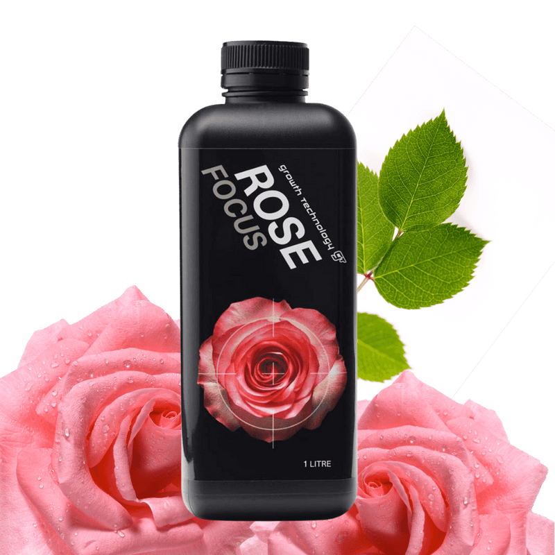 GT Rose Focus Growth Technology