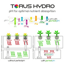 Torus Hydro XpH - Ph Stabilizer Torus Hydro