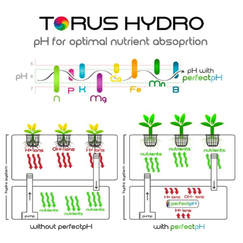 Torus Hydro XpH - Ph Stabilizer Torus Hydro