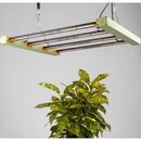 Treegers GL300W LED Grow Light Fixture