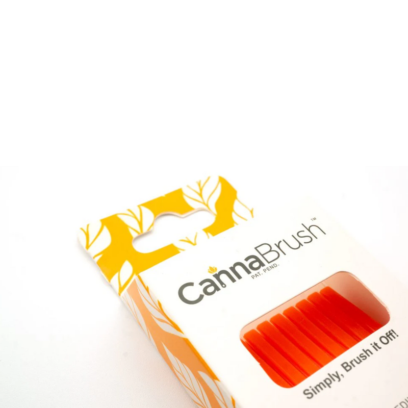 Canna Brush