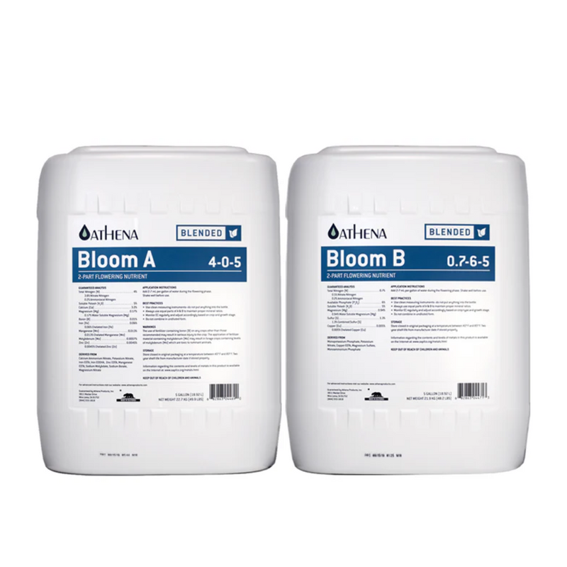 Athena Blended Bloom A & B