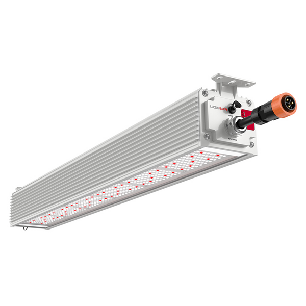 Lucius LED Bar R IP66 140W