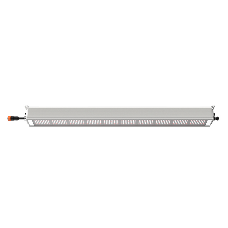 Lucius LED Bar R IP66 140W