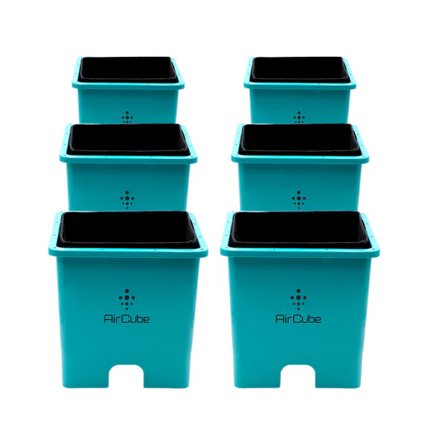 AirCube Active Oxygen 6 Site Grow Cubes