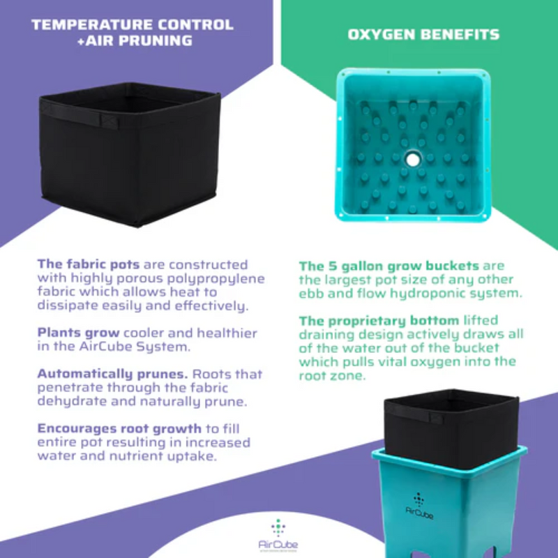 AirCube Active Oxygen 6 Site Grow Cubes