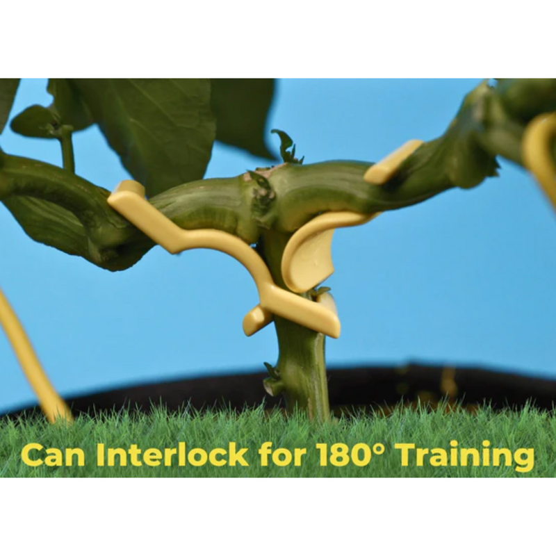 Plant Trainer Clips