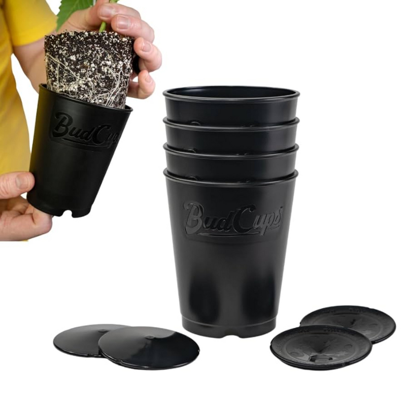 Budtrainer Budcup