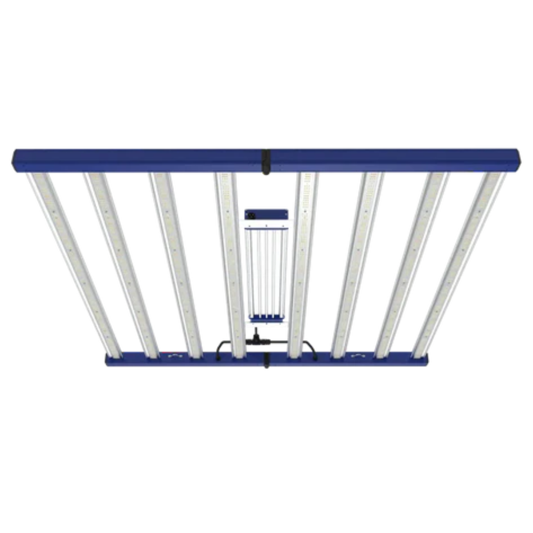 Untitleddesign_46_3329a582-a1e7-4f87-a63f-fc8d704b2241.png?v=1758172866