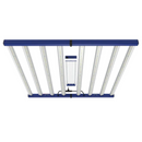 Grand Master LED (GML) Tarantula Torch 480W