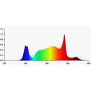 Grand Master LED (GML) Tarantula Torch 480W