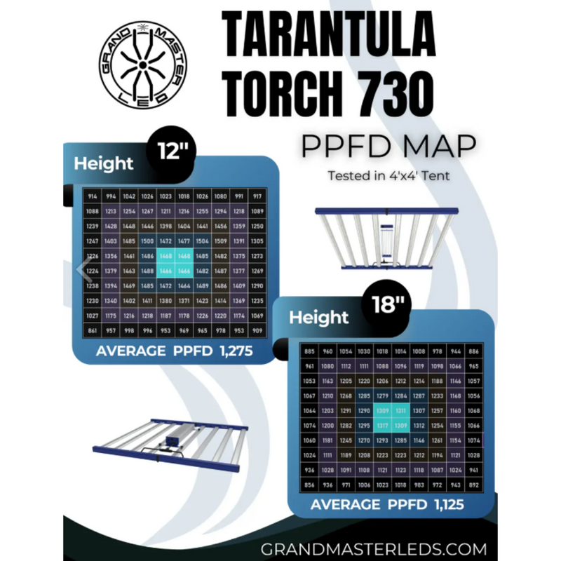 Grand Master LED (GML) Tarantula Torch 480W