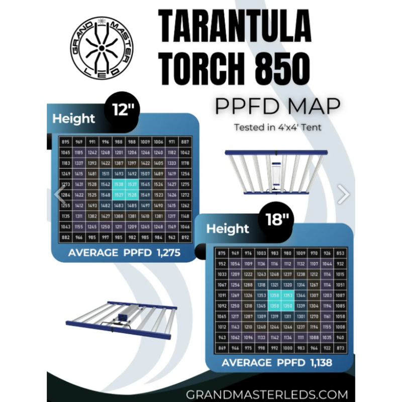 Grand Master LED (GML) Tarantula Torch 850W