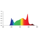 Grand Master Led (GML) Tarantula Tent Ultimate 4x4