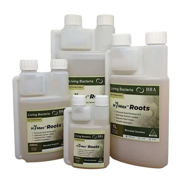 BBA Max Roots