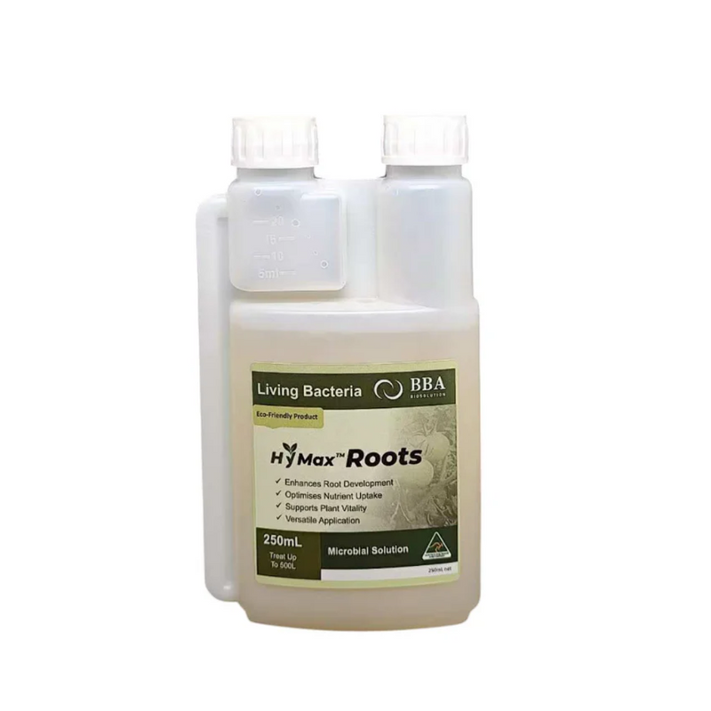 BBA Max Roots