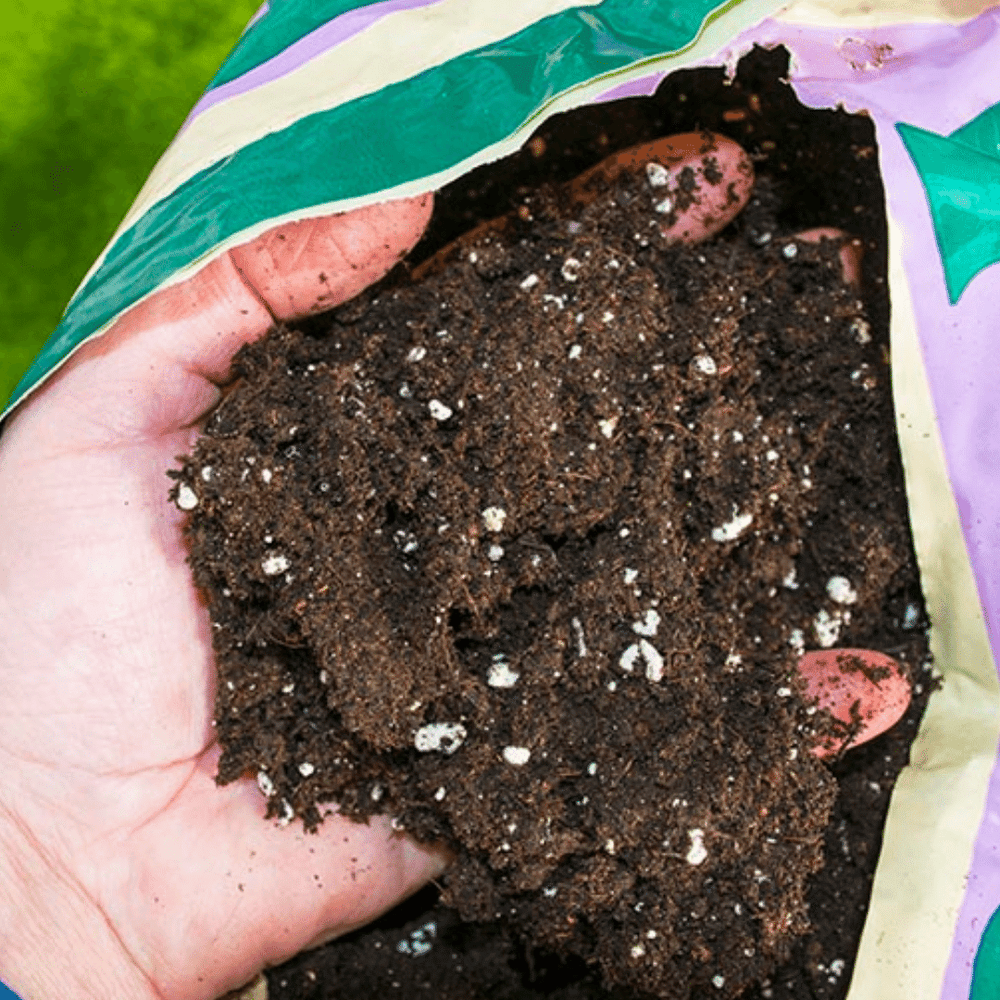 Canna Soil Terra Professional 50L - Mixture Of Soil, Compost & Perlite - Foto 6