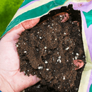 Canna Terra Professional - 50L