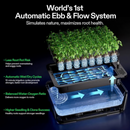 Vivosun Vseed S40 Smart Seedling Box