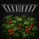 Alpha LED 750W + 50 UV