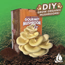 Aussie mushroom Gourmet Mushroom Kit IN Green edited Background