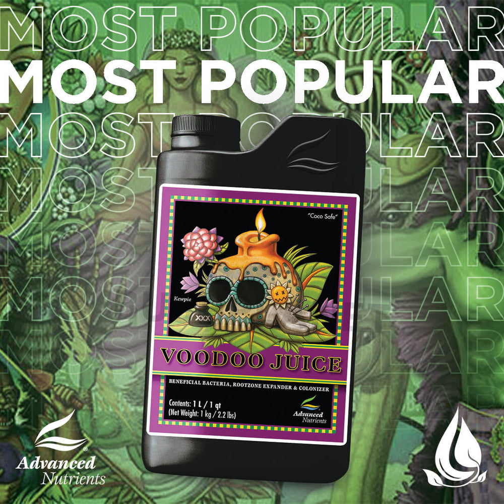 3107225_1_1000x.jpg?v=1672278776