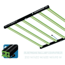 Digi-Lumen Retro LED Without Ballast - 600w Digi Lumen